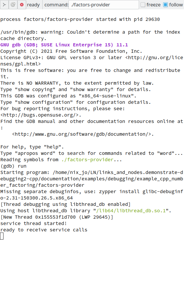 _images/guide_debugging_cpp_start-tearoff_own_terminal.png
