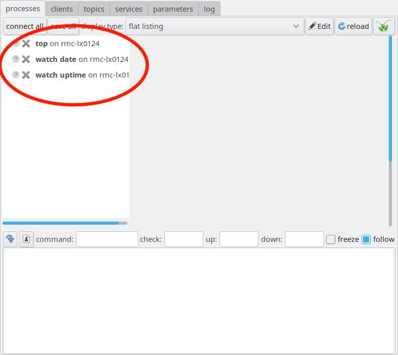 screenshot of LN manager with process pane marked